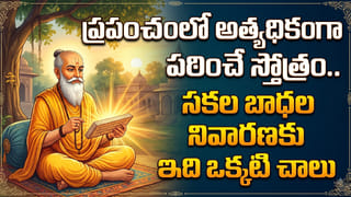 Watermelon: పుచ్చకాయ కోసినప్పుడు ఇలా ఉంటే అస్సలు తినొద్దు.. లైట్ తీసుకుంటే మీ ప్రాణాలకే రిస్క్..