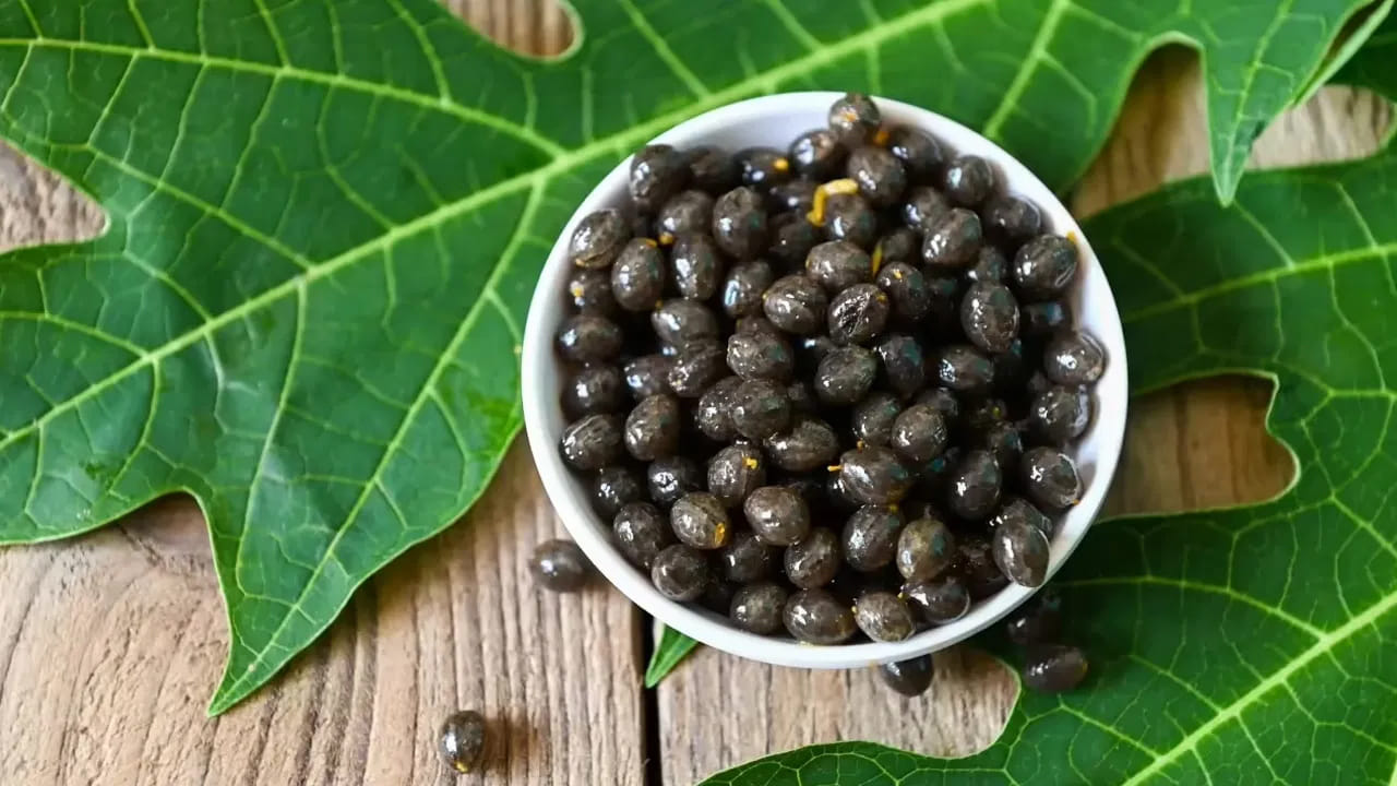 క్యాన్సర్: బొప్పాయి గింజల్లో ఉండే ఎసిటోజెనిన్ అనే సమ్మేళనం క్యాన్సర్ కణాలు వృద్ధి చెందకుండా అడ్డుకుంటుంది. ముఖ్యంగా ఊపిరితిత్తులు, రొమ్ము, ప్రోస్టేట్ క్యాన్సర్ల నివారణలో ఇవి సహాయపడతాయని నిపుణులు చెబుతున్నారు. వీటిలో ఉండే యాంటీ ఆక్సిడెంట్స్ శరీరంలోని ఫ్రీ రాడికల్స్‌తో పోరాడి కణాల ఆరోగ్యాన్ని కాపాడతాయి.
