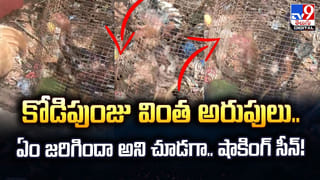 కాళ్లు చూపిస్తే కాసుల వర్షం.. ఫీట్ పిక్స్‌తో లక్షల్లో సంపాదన! ఈ కొత్త బిజినెస్ గురించి మీకు తెలుసా?