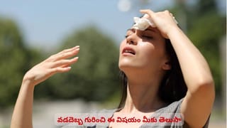 కిచెన్‌ చూసి వ్యక్తిత్వాన్ని చెప్పేయొచ్చా? ఎలాగో చెప్తే ఇప్పుడే కిచెన్‌లోకి పరిగెడతారు