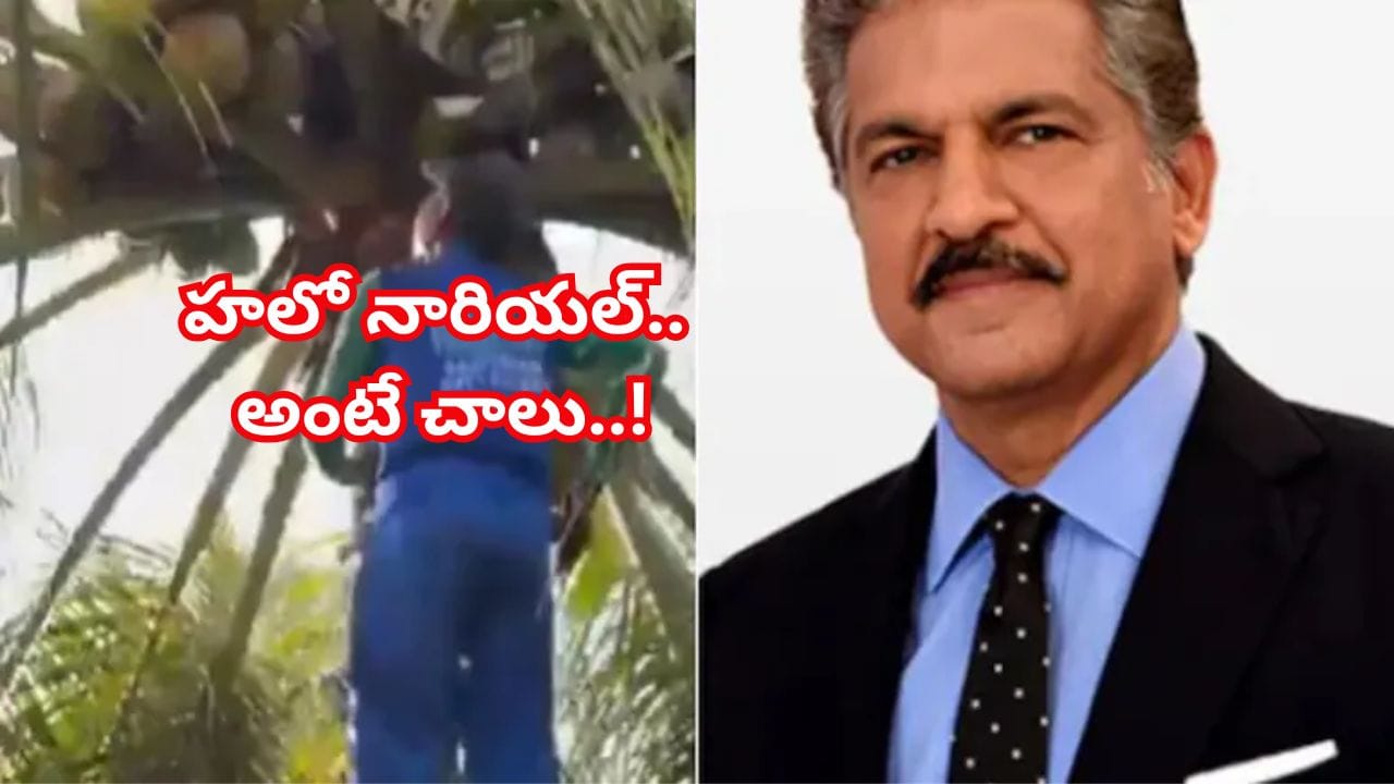 Watch: వాట్ ఎన్ ఐడియా సర్ జీ.. ఒక్క కాల్ చేస్తే ఇంటికే.. ఆనంద్ మహింద్రానే ఫిదా చేసిన ఐడియా