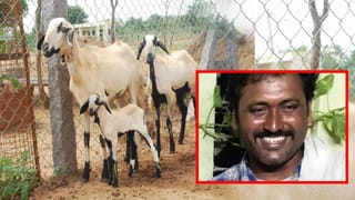 Heatwave Alert: తెలంగాణలో భగ్గుమంటున్న భానుడు.. ఆ జిల్లాలకు రెడ్ అలర్ట్ జారీ!