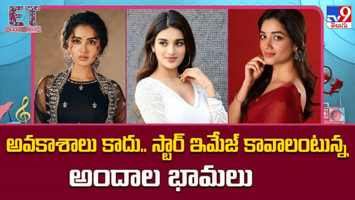 అవకాశాలు కాదు.. స్టార్ ఇమేజ్ కావాలంటున్న అందాల భామలు అవకాశాలు కాదు.. స్టార్ ఇమేజ్ కావాలంటున్న అందాల భామలు