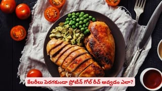 60 వేల విష సర్పాలతో సామ్రాజ్యం..! పాములతో సాహస సావాసం చేస్తున్న భామ