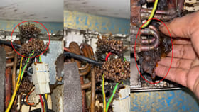 AC కూలింగ్ సరిగ్గా రావడం లేదని విప్పి చూడగా.. లోపల ఆశ్చర్యకరంగా