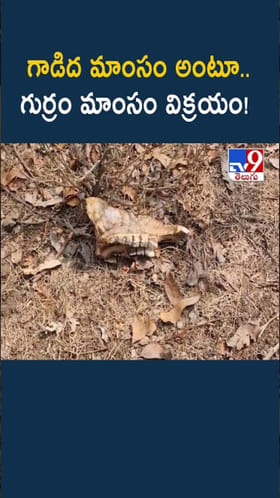 గాడిద మాంసం పేరుతో గుర్రం మాంసం విక్రయం