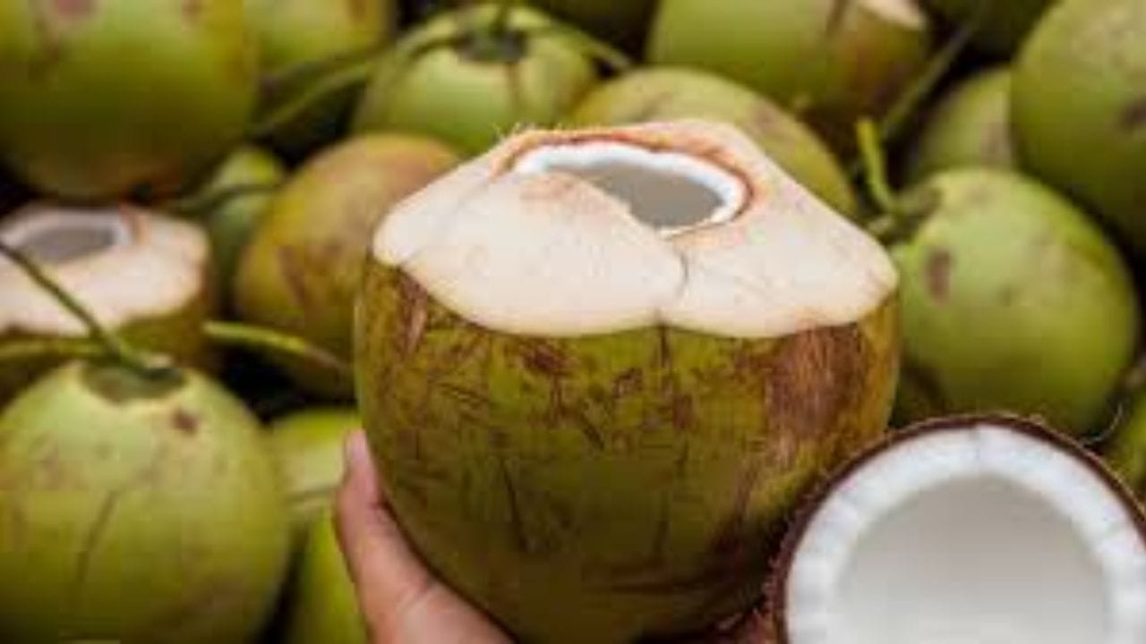 How To Choose Fresh Coconut (1)