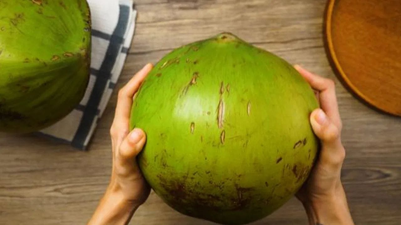 How To Choose Fresh Coconut (6)