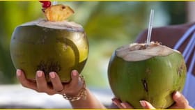 చిన్నది లేదా పెద్దది.. ఏ కొబ్బరికాయలో ఎక్కువ నీరు ఉంటుంది?