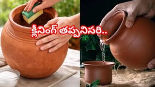 కుండీల్లోనే తియ్యని క్యారెట్లు! ఇలా సింపుల్‌ స్టెప్స్‌తో సాగు మొదలుపెట్టేయండి.. మీ ఇంట లాభాల పంటే!