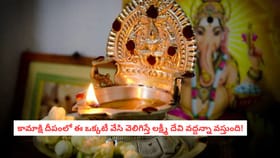 కామాక్షి దీపంలో ఈ ఒక్కటీ వేసి వెలిగిస్తే లక్ష్మీ దేవి వద్దన్నా వస