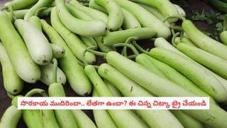 Weight Loss Tips: వెయిట్ లాస్ అలర్ట్: సాయంత్రం 5 తర్వాత ఈ తప్పులు చేస్తున్నారా? అయితే బరువు తగ్గడం కష్టమే!