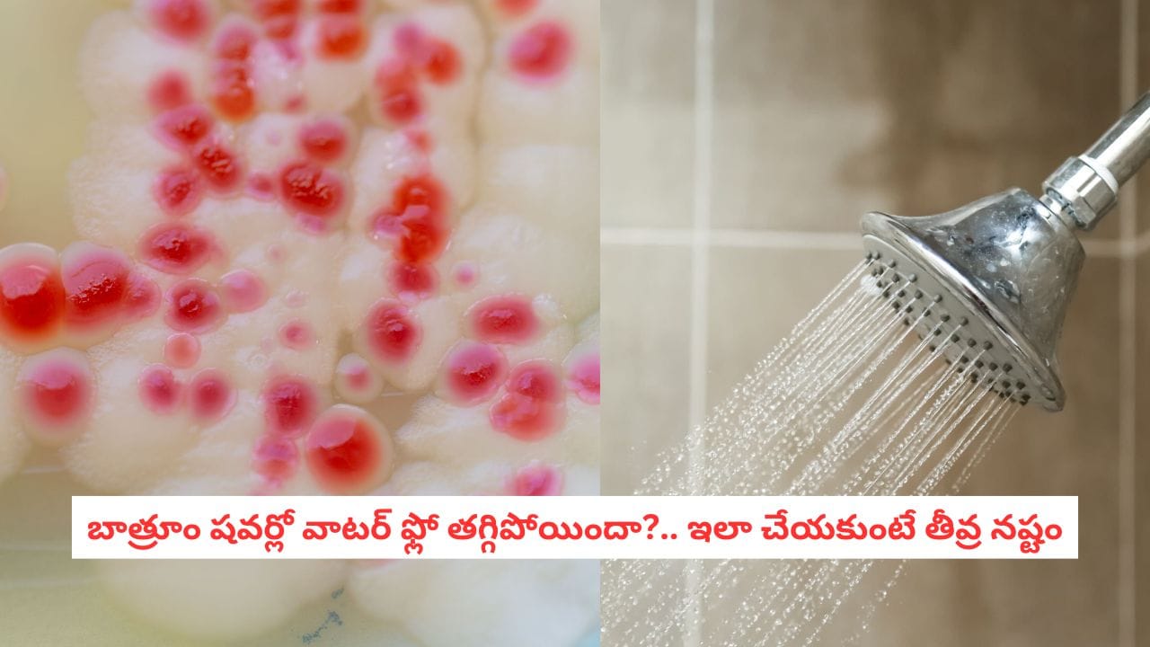 Bathroom Hacks: బాత్రూమ్ షవర్‌లో ఎప్పుడైనా దీన్ని గమనించారా?.. నిర్లక్ష్యం చేస్తే భయంకరమైన నష్టం!