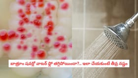 బాత్రూం షవర్లో వాటర్ ఫ్లో తగ్గిపోయిందా?.. ఇలా చేయకుంటే డేంజర్