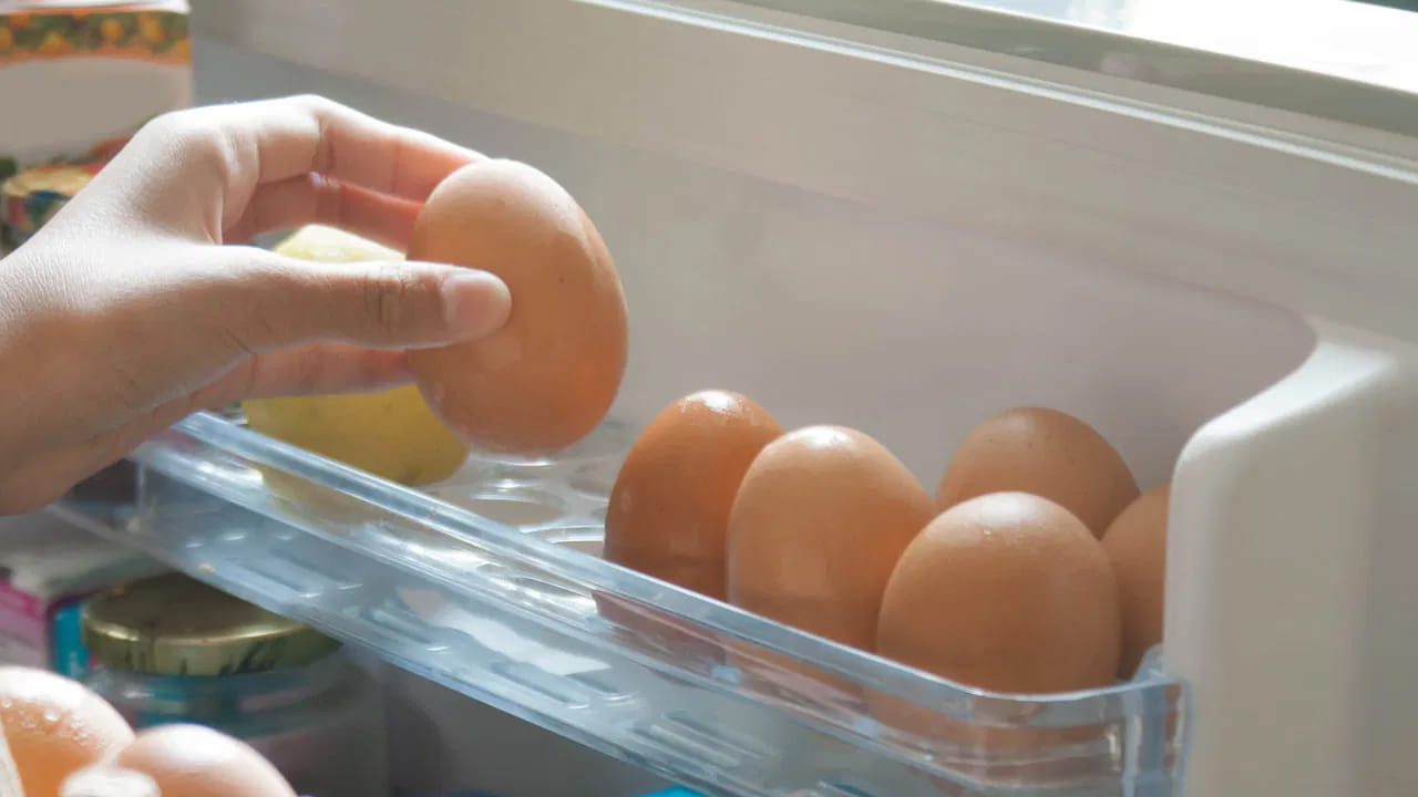 గమనించాల్సిన అంశాలు: ఎల్లప్పుడూ తాజా గుడ్లనే ఎంచుకోండి. గడువు ముగిసిన గుడ్లలో పోషకాలు తగ్గి, ఇన్ఫెక్షన్ల భయం పెరుగుతుంది. పెంకుపై చిన్న పగులు ఉన్నా ఆ గుడ్డును వాడకపోవడమే మంచిది.
గుడ్డు తాజాదనాన్ని తెలుసుకోవడానికి గ్లాసు నీటిలో వేయండి. అది అడుగున ఉంటే తాజాగా ఉన్నట్లు, నీటిపై తేలితే అది పాడైపోయినట్లు అర్థం.
