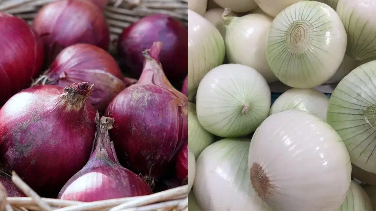 How To Store Onions For Long Time