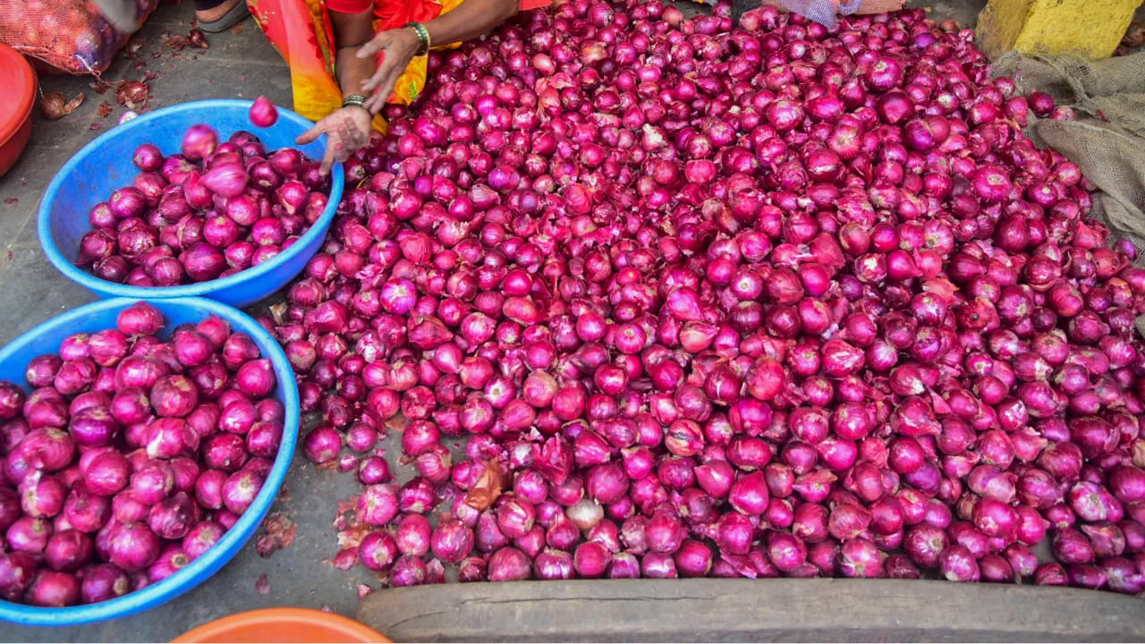 How To Store Onions For Long Time