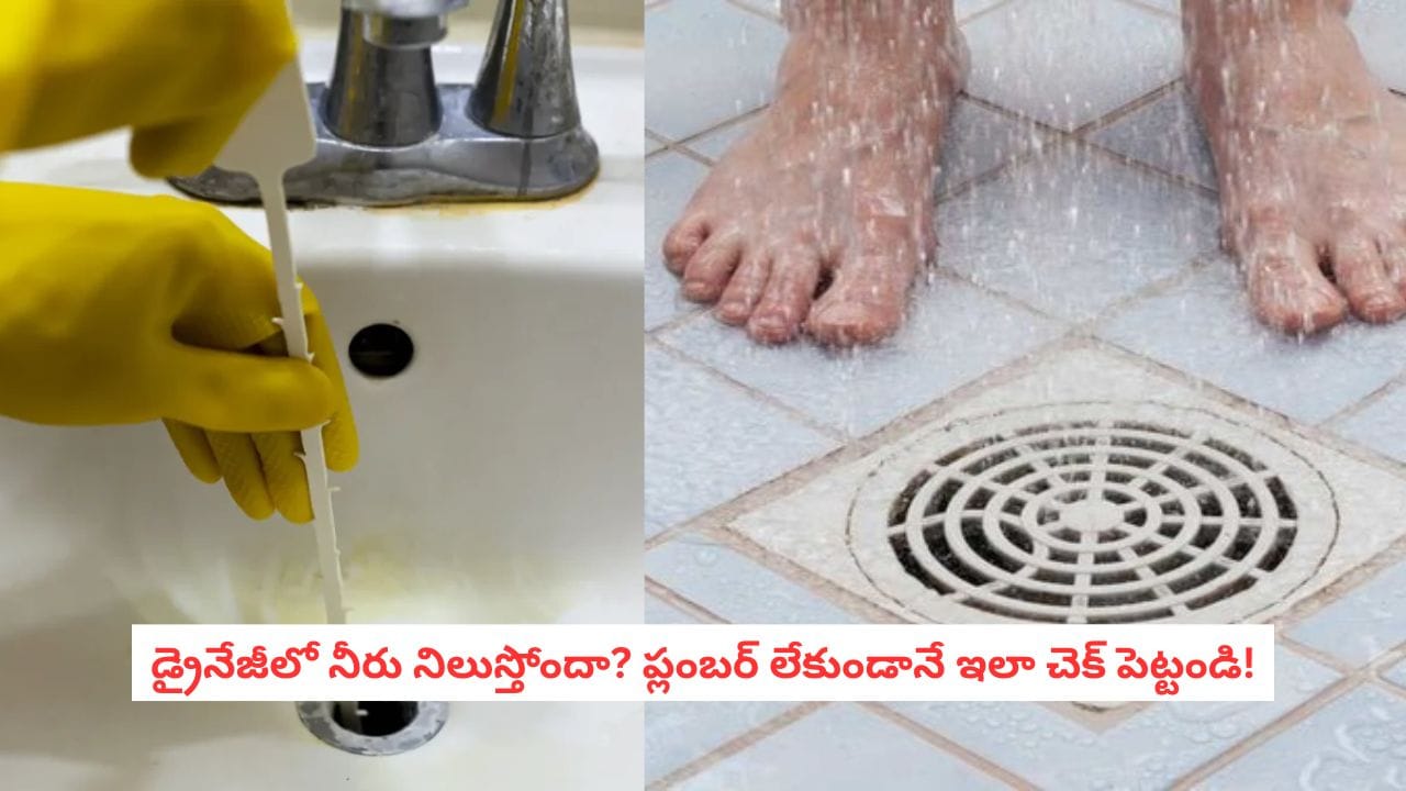 Bathroom Cleaning: బాత్రూమ్ పైపులు జామ్ అయ్యాయా? ఈ ఒక్క చుక్క వేయండి.. నిమిషాల్లో క్లీన్!