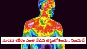 మానవ శరీరం ఎంత వేడిని తట్టుకోగలదు.. నిజమిదే