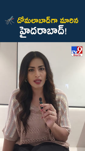 దోమలాబాద్ గా మారిన హైదరాబాద్