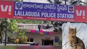 పిల్లి పోయిందని పోలీస్ స్టేషన్‌లో ఫిర్యాదు.. సీసీ ఫుటేజ్‌ చూసి