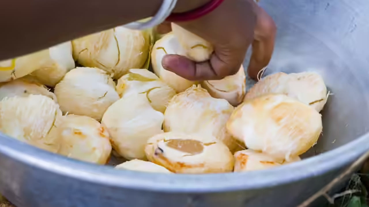 పోషకాల గని: తాటి ముంజల్లో విటమిన్ ఎ, బి, సి లతో పాటు పొటాషియం, ఐరన్, కాల్షియం, జింక్ వంటి ఖనిజాలు పుష్కలంగా ఉన్నాయి. ఇవి ఎముకల ఆరోగ్యానికి, మెటబాలిజం మెరుగుపడటానికి తోడ్పడతాయి.
బరువు తగ్గాలనుకునే వారికి ఇది ఒక తక్కువ క్యాలరీల ఆహారం. ఇందులో క్యాలరీలు తక్కువగా ఉండటం వల్ల బరువు తగ్గాలనుకునే వారు నిరభ్యంతరంగా తీసుకోవచ్చు.