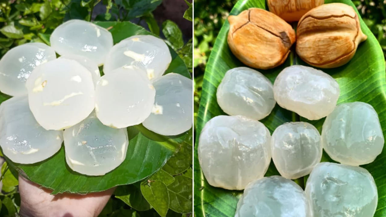 బరువు నిర్వహణ: వీటిలో నీటి శాతం ఎక్కువగా ఉంటుంది. పైగా, క్యాలరీలు తక్కువగా ఉంటాయి. వీటిలో క్యాలరీలు తక్కువగా ఉండి, పీచు పదార్థం ఎక్కువగా ఉంటుంది. దీనివల్ల త్వరగా ఆకలి వేయదు, తద్వారా బరువు తగ్గాలనుకునే వారికి ఇది మంచి ఆహారం. అంతేకాదు... శరీరంలోని వ్యర్థాలను బయటకు పంపడానికి (Detoxification) ఎంతో ఉపయోగపడుతుంది. 