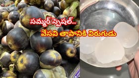 వేసవి తాపానికి విరుగుడు తాటి ముంజలు.. ఈ పండు ప్రయోజనాలు తెలిస్తే