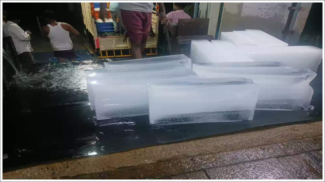  మీరు గ్రామంలో కూడా ఒక ఫ్యాక్టరీని ఏర్పాటు చేసుకోవచ్చు: ఇందులోని ప్రత్యేకత ఏమిటంటే ఐస్ క్యూబ్ వ్యాపారాన్ని ప్రారంభించడానికి మీరు మీ గ్రామం లేదా పట్టణం నుండి నగరానికి వెళ్లవలసిన అవసరం లేదు. మీరు అలాంటి ప్రాంతంలో నివసిస్తుంటే, అక్కడే ఫ్యాక్టరీని ప్రారంభించవచ్చు. ఎందుకంటే దీని డిమాండ్ నగరాలకే పరిమితం కాదు. అందువల్ల, ఐస్ క్యూబ్ వ్యాపారం గొప్ప వృద్ధి అవకాశాలను, అతి తక్కువ నష్టాలను అందిస్తుందని చెప్పవచ్చు. గ్రామంలో వ్యాపారాన్ని ప్రారంభించిన తర్వాత, మీరు మీ ఉత్పత్తిని నగరాలకు కూడా సరఫరా చేయవచ్చు.