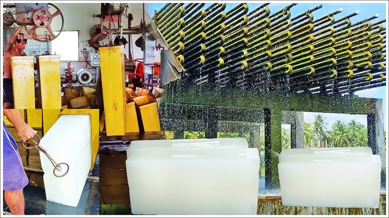  వ్యాపార నమోదు తప్పనిసరి: ఐస్ క్యూబ్ ఫ్యాక్టరీని ప్రారంభించడానికి అవసరమైన వాటిలో మీరు మొదట మీ సమీపంలోని పరిపాలనా కార్యాలయంలో నమోదు చేసుకోవాలి. దీని తరువాత ఐస్‌ను నిల్వ చేయడానికి మీకు ఒక పెద్ద ఫ్రీజర్ అవసరం అవుతుంది. మీరు ఐస్‌ను వివిధ డిజైన్లలో కూడా తయారు చేయవచ్చు. ఇది వినియోగదారులను ఆకర్షించడంలో సహాయపడుతుంది. స్థలం విషయానికి వస్తే ఫ్యాక్టరీని ప్రారంభించడానికి కనీసం 500 చదరపు అడుగుల స్థలం, శుభ్రమైన నీటి వనరు, విద్యుత్ కనెక్షన్ అవసరం. 