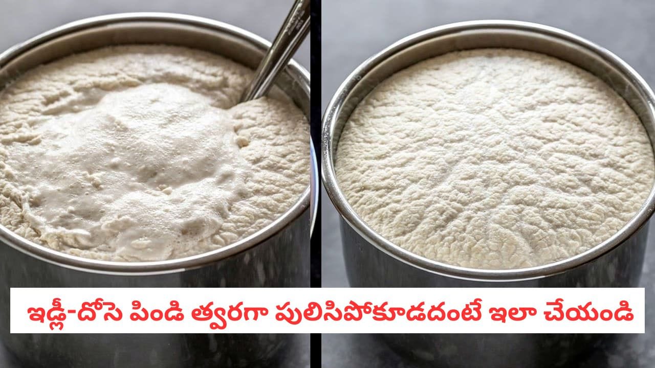 Idli Dosa Batter Storage: వేసవిలో దోసె-ఇడ్లీ పిండి త్వరగా పులిసిపోతుందా? వారం పొడవునా తాజాగా ఉండేందుకు ఈ టిప్స్ ఫాలో అవ్వండి