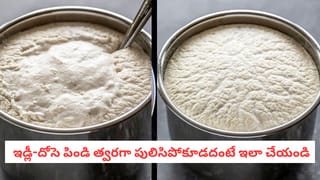 WheatStorage: గోధుమలలో పురుగులు ఉన్నాయా? వంటింట్లోని ఈ వస్తువులతో అన్ని పరార్