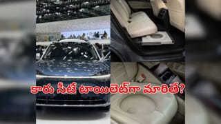 రద్దీగా ఉన్న రెస్టారెంట్‌లో ఒక్కసారిగా కలకలం.. ఖరీదైన అతిథిని చూసి ఎక్కడి వారక్కడే గప్‌చూప్‌..!