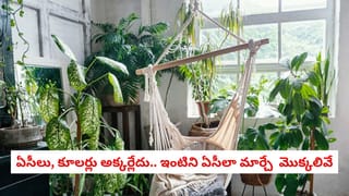 Non-Stick vs Stainless Steel: నాన్-స్టిక్  స్టెయిన్‌లెస్ స్టీల్ మధ్య తేడా ఏమిటి? దేనితో వంట చేయడం సురక్షితం?
