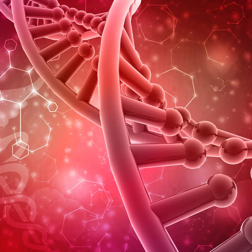 హార్మోన్ల సమతుల్యతలో కూడా ఉపవాసం ముఖ్యమైన పాత్ర పోషిస్తుంది. మనం ఆహారం తీసుకున్న వెంటనే, ఇన్సులిన్ అనే హార్మోన్ రక్తంలో పెరుగుతుంది. ఇన్సులిన్ అధిక స్థాయిలో ఉన్నప్పుడు, శరీరం కొవ్వును నిల్వ చేస్తుంది కానీ కరిగించదు. పదేపదే తినడం వల్ల ఇన్సులిన్ స్థాయిలు ఎప్పుడూ ఎక్కువగా ఉండి, బరువు తగ్గడం కష్టమవుతుంది. ఉపవాసం ద్వారా ఇన్సులిన్ స్థాయిలు తగ్గుతాయి, తద్వారా శరీరం నిల్వ చేసిన కొవ్వును శక్తి కోసం ఉపయోగించుకుంటుంది. ఇది బరువు తగ్గడానికి మరియు పొట్ట దగ్గర కొవ్వును కరిగించడానికి సహాయపడుతుంది.