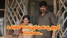ఓటీటీలో సంచలనం సృష్టిస్తున్న థ్రిల్లర్ చిత్రాలు..