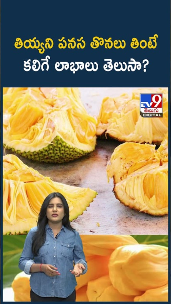 Jackfruit Benefits: తియ్యని ప‌న‌స తొనలు తింటే..లాభాలు ఏంటో తెలుసా?