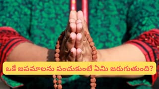Snakes Revenge: పాములు నిజంగా పగ పడతాయా? 99 శాతం మందికి ఈ సీక్రెట్‌ తెలియదు