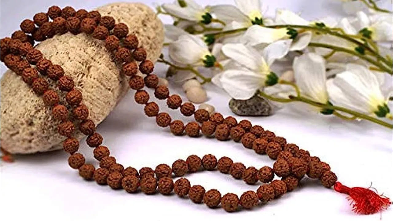 హిందూ సంప్రదాయాలలో భక్తి, ప్రార్థనలకు ప్రత్యేక స్థానం ఉంది. చాలా ఇళ్లలో జపం చేయడం సాధారణ ఆధ్యాత్మిక సాధనగా ఉంటుంది. అయితే కొన్నిసార్లు సమాచారం లేకపోవడం వల్ల కుటుంబ సభ్యులు ఒకే జపమాలను పంచుకుని ఉపయోగించడం  జరుగుతుంది. కానీ ఆధ్యాత్మిక పరంగా ఇది సరైన పద్ధతిగా పరిగణించబడదు. శాస్త్రాలు సూచించిన ప్రకారం జపమాల వినియోగానికి కొన్ని నియమాలు ఉన్నాయి. వీటిని పాటించకపోతే జపం పూర్తి ఫలితాలు పొందడంలో ఆటంకం కలగవచ్చు.
