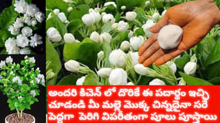 Fake Currency: నకిలీ నోట్లను ఇలా ఈజీగా గుర్తించవచ్చు..