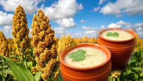 సమ్మర్ స్పెషల్: జొన్న గంజి..ఇలా చేసుకొని తాగితే ఆ రోగాలన్నీ పరార్