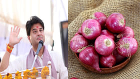 జేబులో ఉల్లిపాయ ఉంటే వడదెబ్బ తగలదా..?