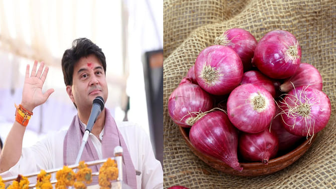 జేబులో ఉల్లిపాయ ఉంటే వడదెబ్బ తగలదా..?