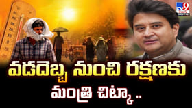 వడదెబ్బ నుంచి రక్షణకు.. మంత్రి చిట్కా..