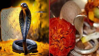 కుజుడి ప్రభావంతో కుభేరులయ్యే రాశులివే.. మీ రాశి ఉందో చూడండి!