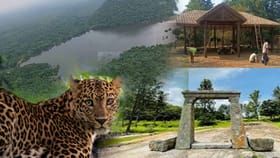 పులిగుండాల ఎకో టూరిజంలో అరుదైన దృశ్యం!