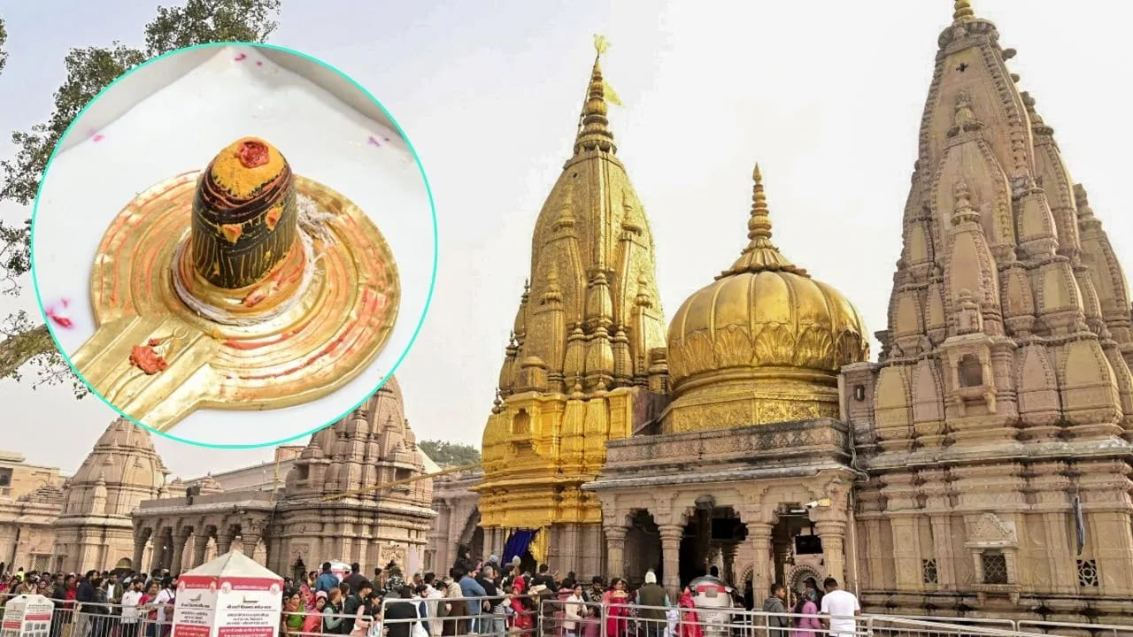 తదుపరి వస్త్రాలు, జంధ్యం, చందనం సమర్పిస్తారు. ఆ తర్వాత బిల్వపత్రాలు, పుష్పాలు వంటి శివునికి ప్రియమైన పదార్థాలను అర్పిస్తారు. చివరగా నైవేద్యం, తాంబూలం సమర్పించి, హారతి మరియు మంత్రోచ్ఛారణలతో పూజను ముగిస్తారు.
ఈ విధంగా, పవిత్రమైన సర్వార్థ సిద్ధి యోగం, త్రయోదశి తిథి కలయికలో జరిగే ఈ పూజా కార్యక్రమం విశేష ప్రాముఖ్యతను సంతరించుకుంటోంది.

(Disclaimer: ఇక్కడ అందించిన సమాచారం మతం, జ్యోతిషం, సాధారణ నమ్మకాల ఆధారంగా మాత్రమే అందించబడింది. ఈ సమాచారం ఖచ్చితంగా నిజం లేదా శాస్త్రీయంగా నిర్ధారితమైన సమాచారం అని భావించకండి. వ్యక్తిగత నిర్ణయాలు తీసుకునే ముందు సంబంధిత నిపుణులను సంప్రదించడం మంచిది.)