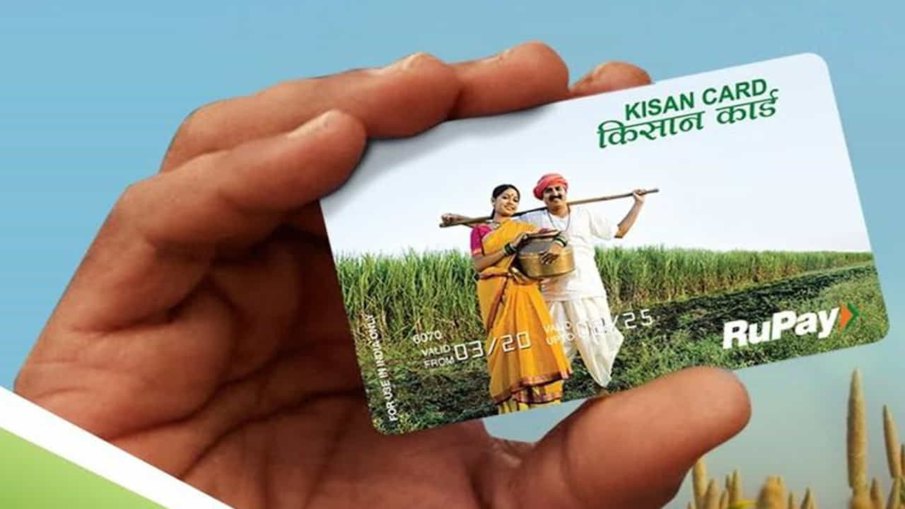 అయితే కేసీసీ కింద తీసుకున్న లోన్ సకాలంలో చెల్లించకపోతే భూమిని బ్యాంక్ వేలం వేస్తుందా..? అనే అనుమానం చాలామందికి ఉంటుంది. దీనిపై రైతుల్లో అనేక అపోహలు ఉన్నాయి. అయితే ఈ రుణాన్ని సకాలంలో చెల్లించకపోతే బ్యాంకులు తక్షణమే ఎలాంటి చర్య తీసుకోవు. బ్యాంకులు తొలుత రిమైండర్లు, నోటీసులు పంపుతుంది. ఆ తర్వాత 90 రోజుల్లోగా కట్టకపోతే అకౌంట్‌ను నిరర్దక ఆస్తిగా ప్రకటిస్తారు. 

