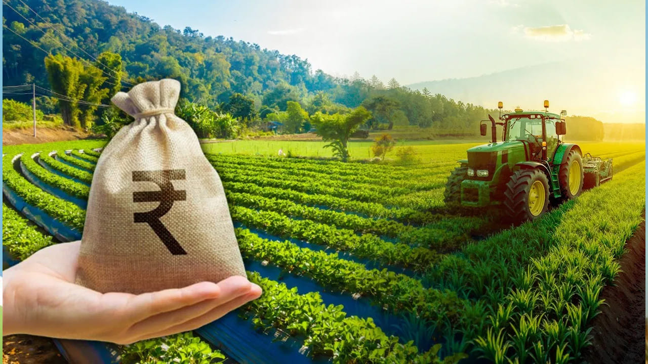 ఆ తర్వాత బ్యాంక్ రుణాన్ని తిరిగి వసూలు చేసే ప్రక్రియను మొదలుపెడుతుంది. మొదట రాజీకి ప్రయత్నాలు చేస్తారు. అయినా పరష్కారం దొరక్కపోతే బ్యాంకులు ఎమ్మార్వో స్థాయిలో ప్రయత్నాలు చేస్తాయి. రెవెన్యూ బకాయిలుగా పరిగణించి వసూలు చేసే ప్రాసెస్ చేపతారు. చివరికి కట్టకపోతే భూమిని జప్తు చేయడం, వేలం నిర్వహించి విక్రయించడం లాంటివి చేస్తారు. వేలానికి ముందు రైతులకు బహిరంగ ప్రకటన రూపంలో చివరి అవకాశం కల్పిస్తారు.
