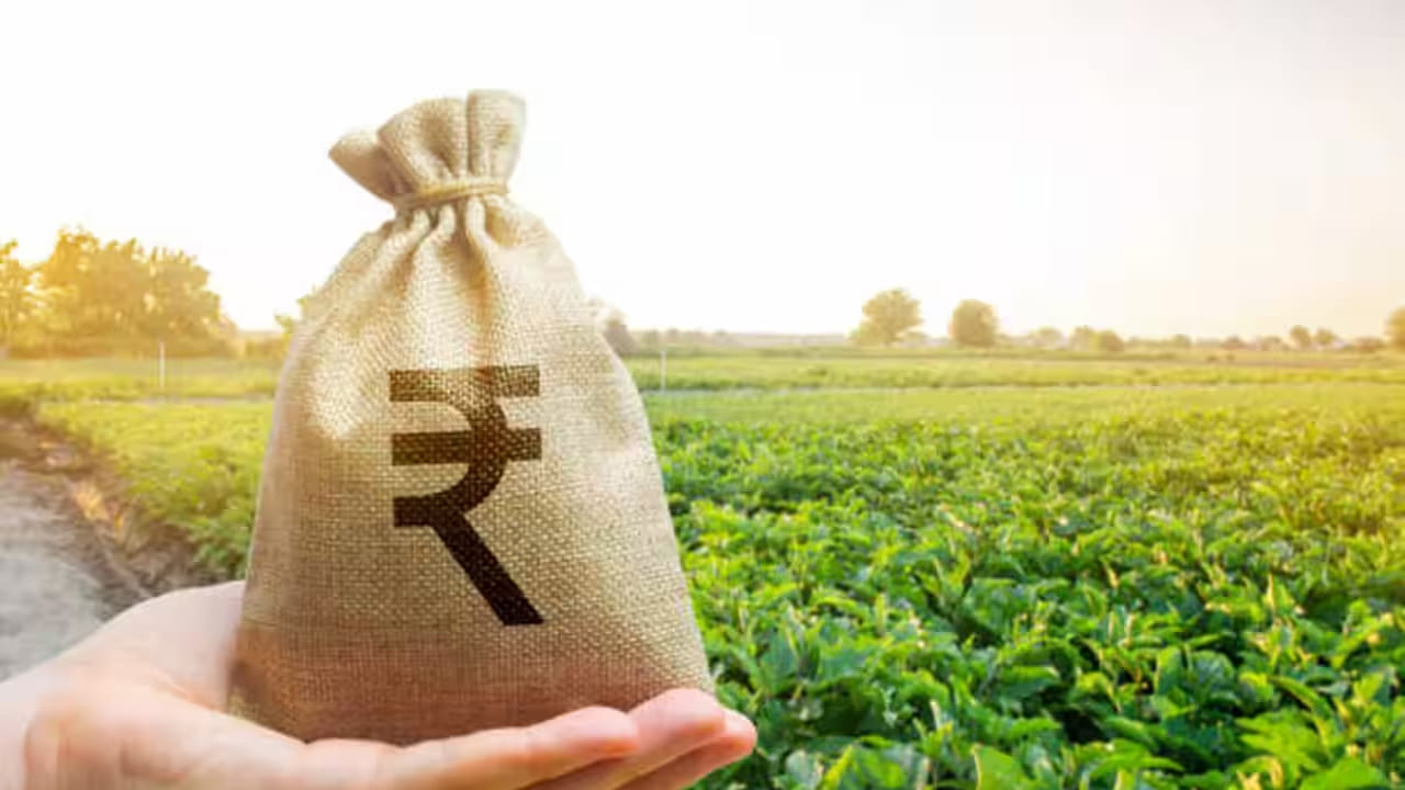 వేలం నుంచి వచ్చిన సొమ్ములో బ్యాంక్ తన బకాయిలను తీసుకుని మిగతా సొమ్మును రైతులకు తిరిగి ఇస్తుంది. అయినా కొన్ని అనివార్య పరిస్థితుల్లో బ్యాంకులు రైతుల భూమిని వేలం వేయవు. ప్రకృతి వైపరీత్యాలు, వరదలు, ప్రభుత్వం రుణమాఫీ చేయడం, బీమా క్లెయిమ్స్ వంటి పరిస్థితుల్లో భూమిని జప్తు చేయడం లేదా వేలం పాట నిర్వహించడం లాంటివి ఉండవు. రైతుల రుణాల విషయంలో బ్యాంకులు వెంటనే కఠిన చర్యలు తీసుకోవు.
